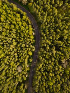 Preview wallpaper road, winding, aerial view, forest