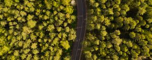 Preview wallpaper road, winding, aerial view, forest