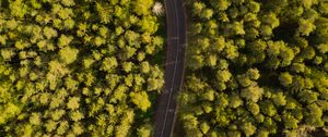 Preview wallpaper road, winding, aerial view, forest