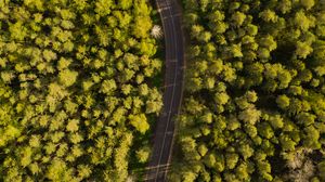 Preview wallpaper road, winding, aerial view, forest