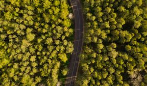 Preview wallpaper road, winding, aerial view, forest
