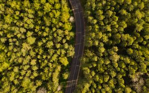 Preview wallpaper road, winding, aerial view, forest