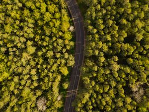 Preview wallpaper road, winding, aerial view, forest