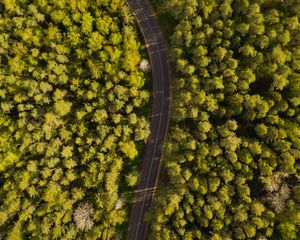 Preview wallpaper road, winding, aerial view, forest