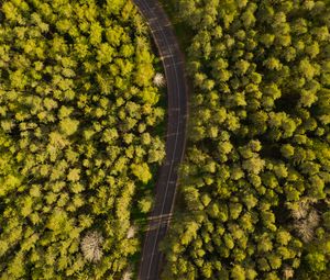 Preview wallpaper road, winding, aerial view, forest