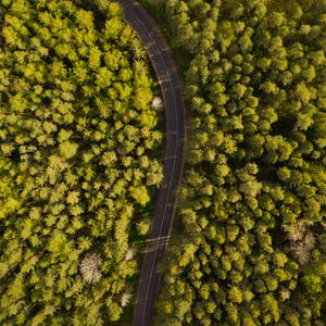 Preview wallpaper road, winding, aerial view, forest