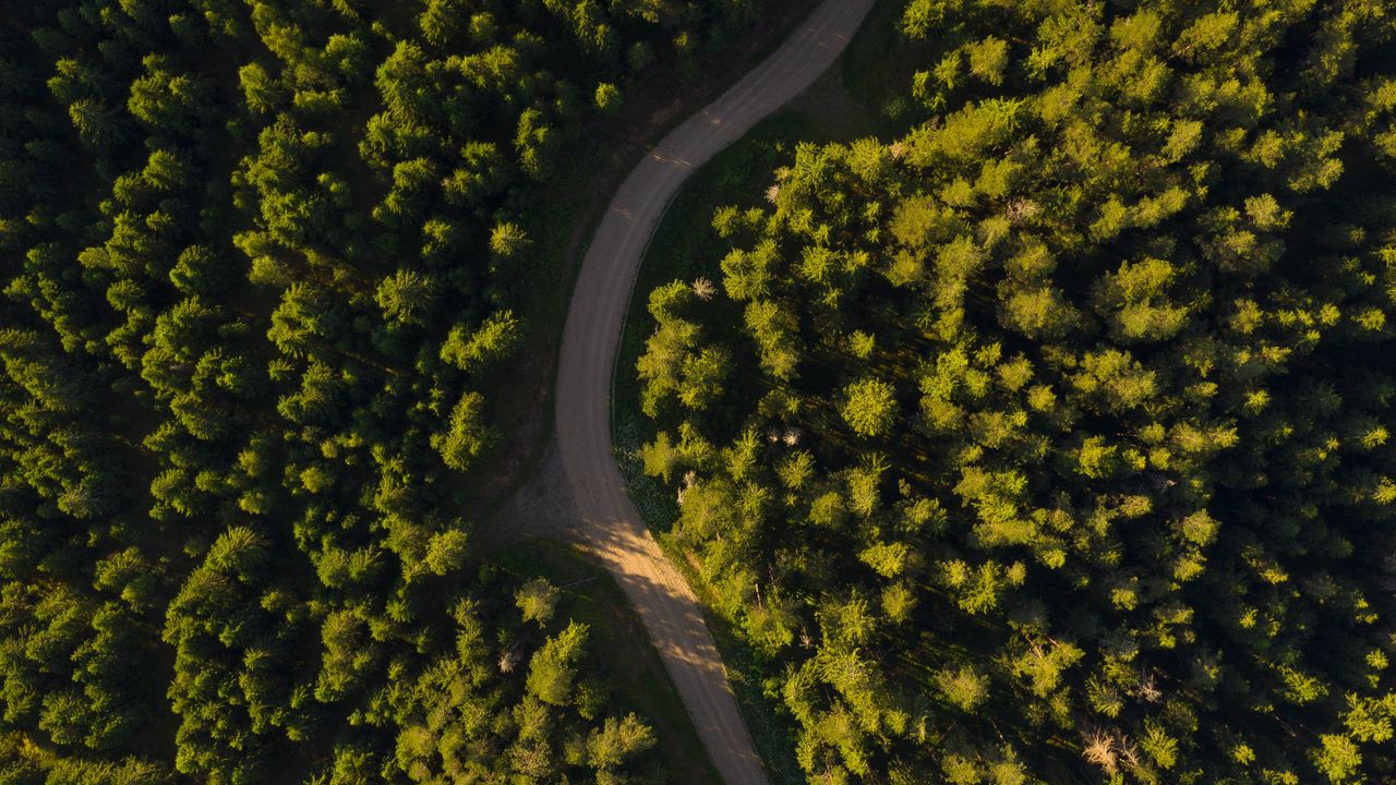 Wallpaper road, winding, aerial view, forest, trees
