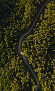 Preview wallpaper road, winding, aerial view, forest, trees