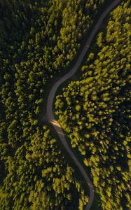 Preview wallpaper road, winding, aerial view, forest, trees