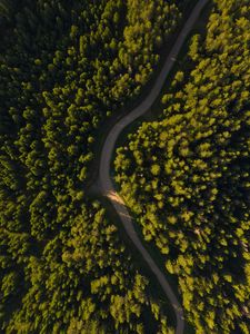 Preview wallpaper road, winding, aerial view, forest, trees