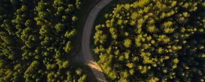 Preview wallpaper road, winding, aerial view, forest, trees