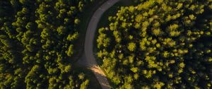 Preview wallpaper road, winding, aerial view, forest, trees