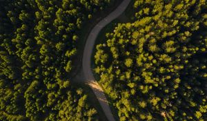 Preview wallpaper road, winding, aerial view, forest, trees