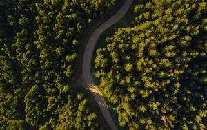 Preview wallpaper road, winding, aerial view, forest, trees