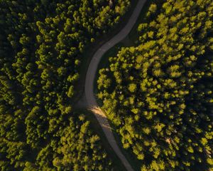 Preview wallpaper road, winding, aerial view, forest, trees