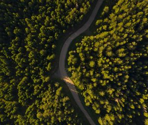 Preview wallpaper road, winding, aerial view, forest, trees