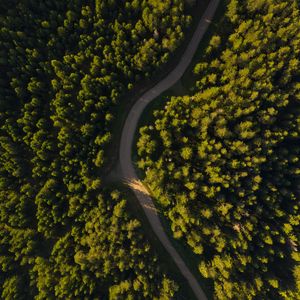 Preview wallpaper road, winding, aerial view, forest, trees