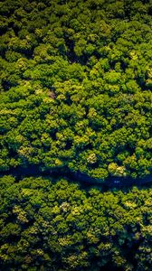 Preview wallpaper road, winding, aerial view, trees, forest