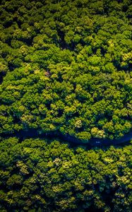 Preview wallpaper road, winding, aerial view, trees, forest