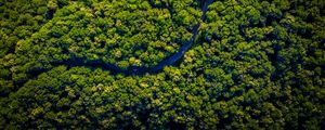 Preview wallpaper road, winding, aerial view, trees, forest