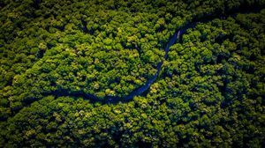 Preview wallpaper road, winding, aerial view, trees, forest