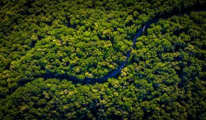 Preview wallpaper road, winding, aerial view, trees, forest