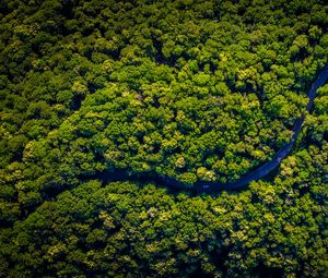 Preview wallpaper road, winding, aerial view, trees, forest