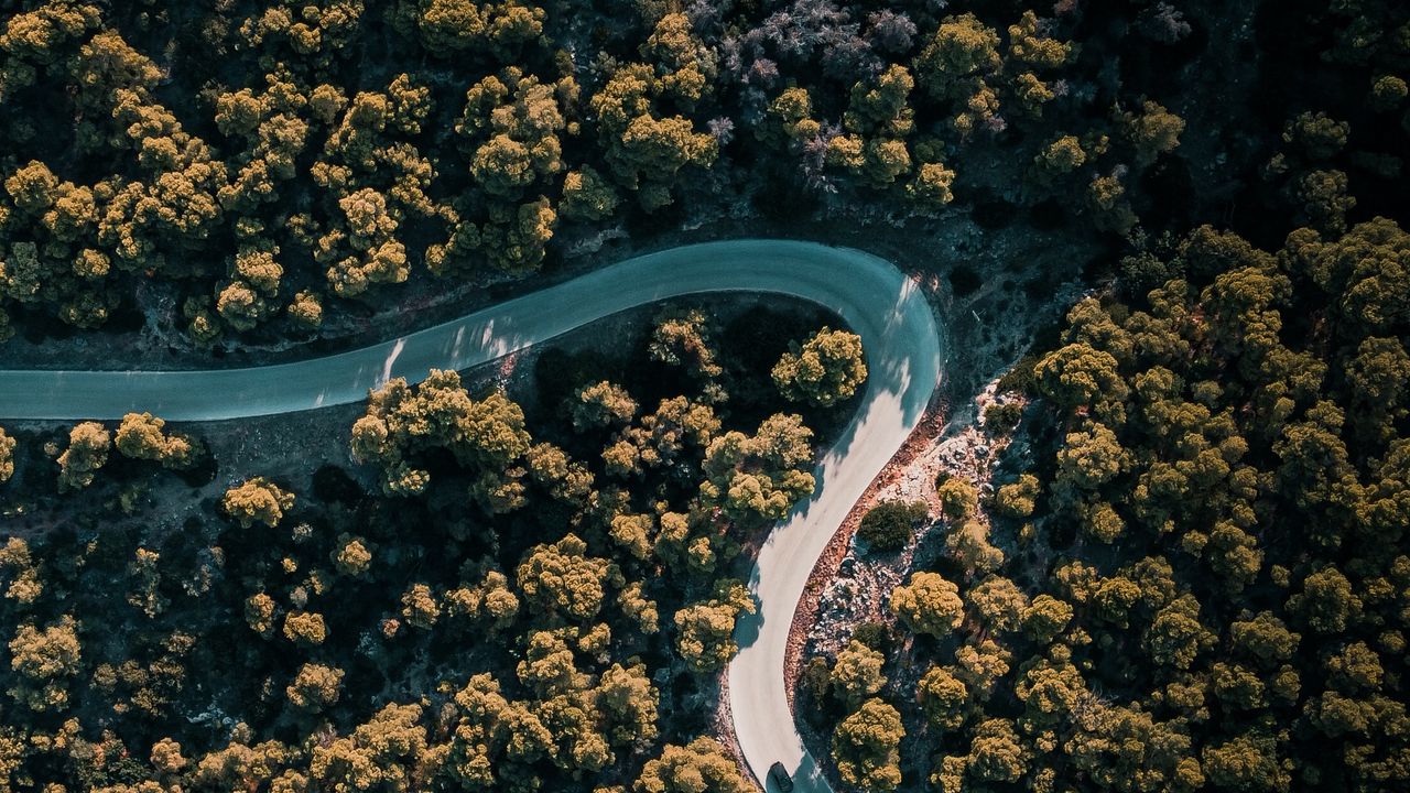 Wallpaper road, winding, aerial view, trees, nature