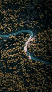 Preview wallpaper road, winding, aerial view, trees, nature