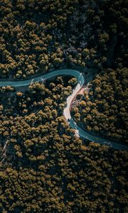 Preview wallpaper road, winding, aerial view, trees, nature