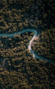 Preview wallpaper road, winding, aerial view, trees, nature