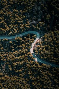 Preview wallpaper road, winding, aerial view, trees, nature