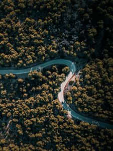 Preview wallpaper road, winding, aerial view, trees, nature