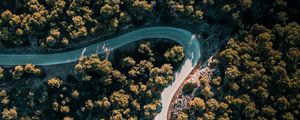 Preview wallpaper road, winding, aerial view, trees, nature