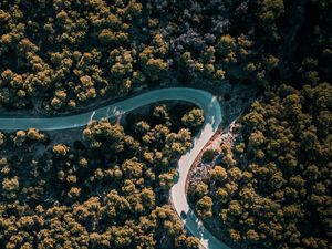 Preview wallpaper road, winding, aerial view, trees, nature