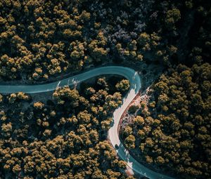 Preview wallpaper road, winding, aerial view, trees, nature