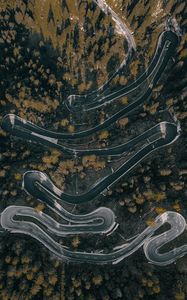 Preview wallpaper road, winding, aerial view, forest, trees, marking