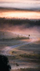 Preview wallpaper road, winding, fog, trees