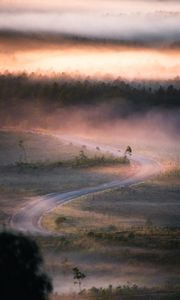 Preview wallpaper road, winding, fog, trees