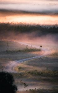 Preview wallpaper road, winding, fog, trees