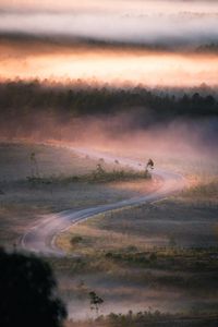 Preview wallpaper road, winding, fog, trees