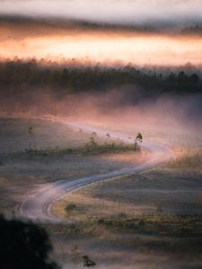 Preview wallpaper road, winding, fog, trees