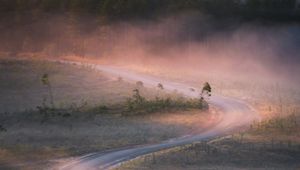 Preview wallpaper road, winding, fog, trees