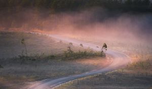 Preview wallpaper road, winding, fog, trees