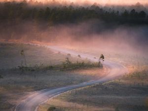 Preview wallpaper road, winding, fog, trees