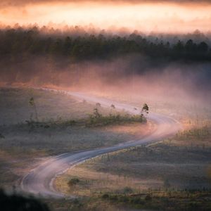 Preview wallpaper road, winding, fog, trees