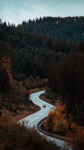 Preview wallpaper road, winding, forest, trees