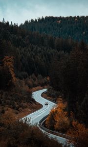 Preview wallpaper road, winding, forest, trees