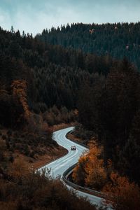 Preview wallpaper road, winding, forest, trees