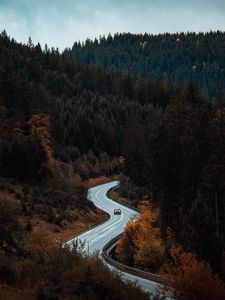 Preview wallpaper road, winding, forest, trees